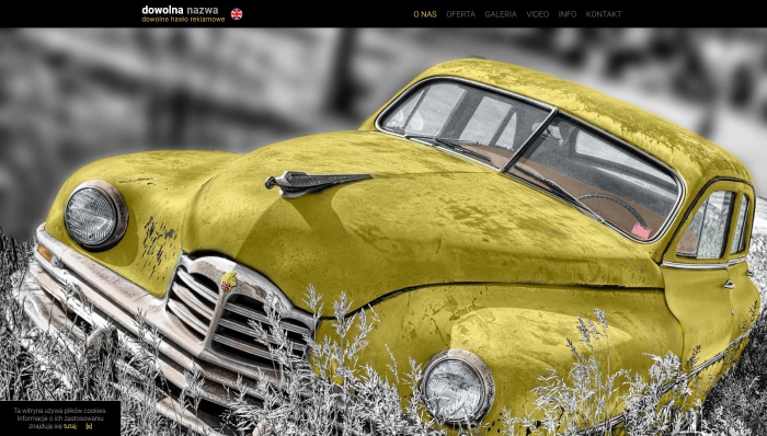 przykład strony www, przykładowy szablon jednostronicowy