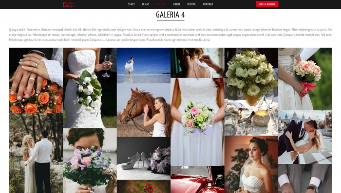 przykład strony, przykładowe strony o tematyce fotograficznej