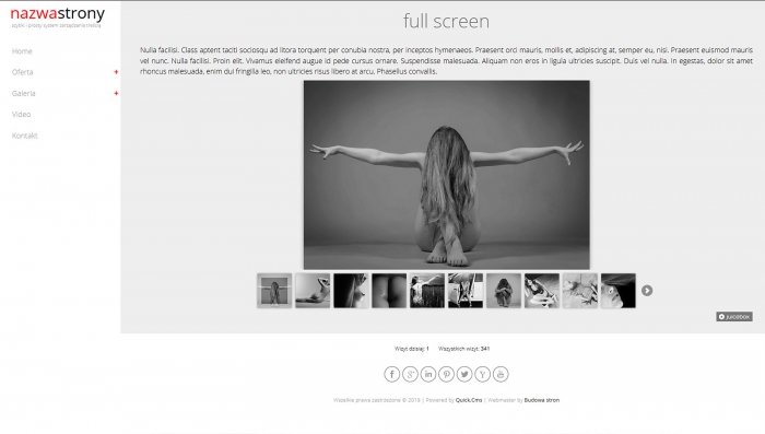 przykładowa strona www, gotowe strony internetowe, przykłady szablonu