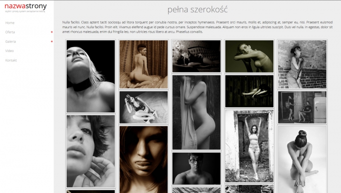 przykładowa strona www, gotowe strony internetowe, przykłady szablonu