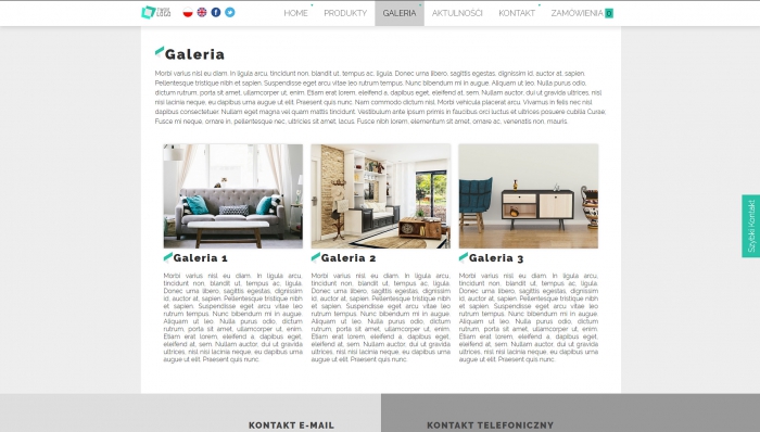 przykład strony internetowej, przykładowe szablony stron profesjonalnych