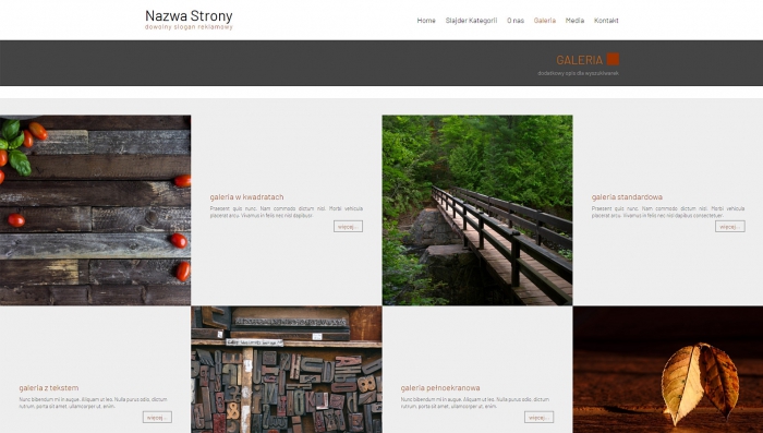 przykład efektowen prezentacji różnych galerii zdjęć na stronie