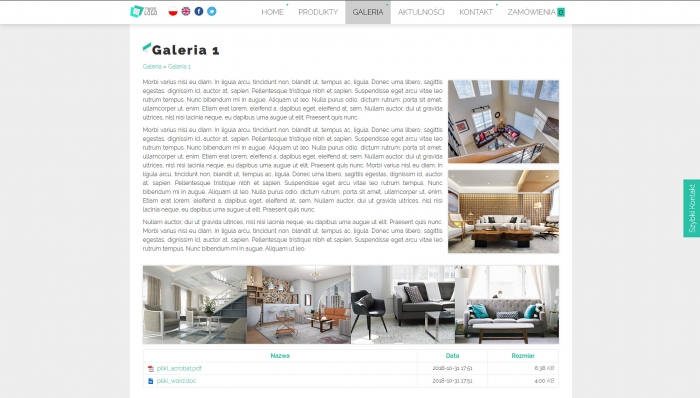 przykład strony internetowej, przykładowe szablony stron profesjonalnych