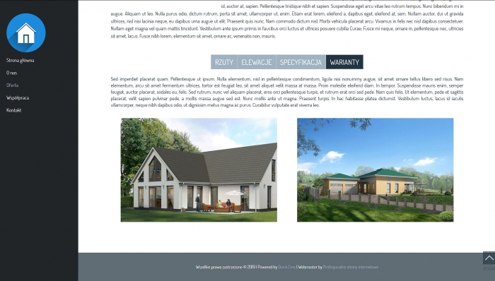 przykłady stron internetowych, przykłady gotowych stron dla firm