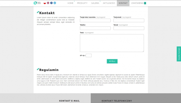 przykład strony internetowej, przykładowe szablony stron profesjonalnych