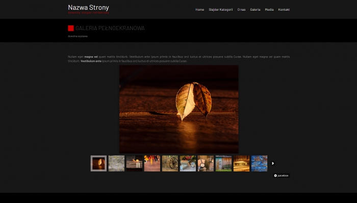gotowa strona internetowa, przykład szablonu, przykłady stron