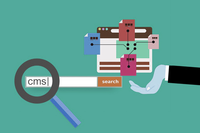 strony z profesjonalną wersją cms