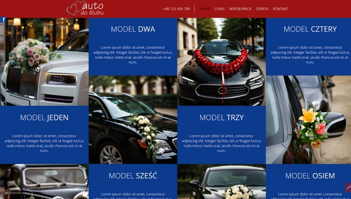 demo strony z autem do ślubu