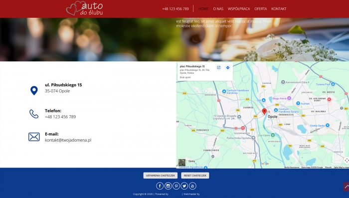 demo strony z autem do ślubu