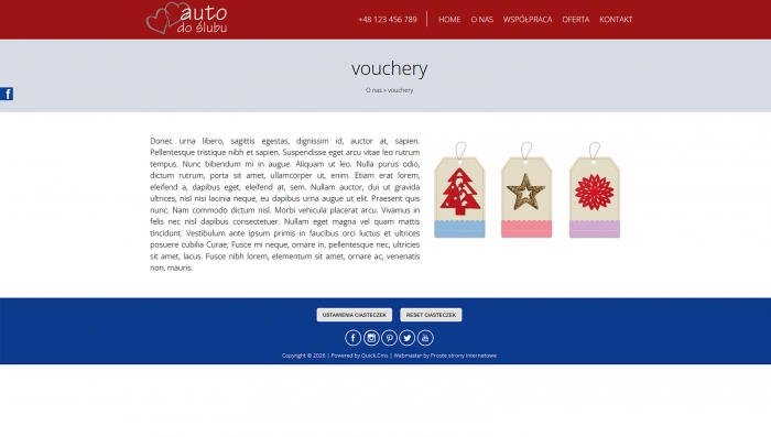 demo strony z autem do ślubu