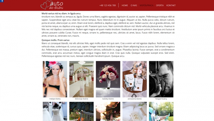 demo strony z autem do ślubu