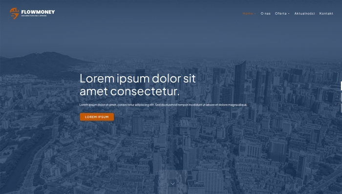 demo stron firmowej - gotowa strona dla firmy