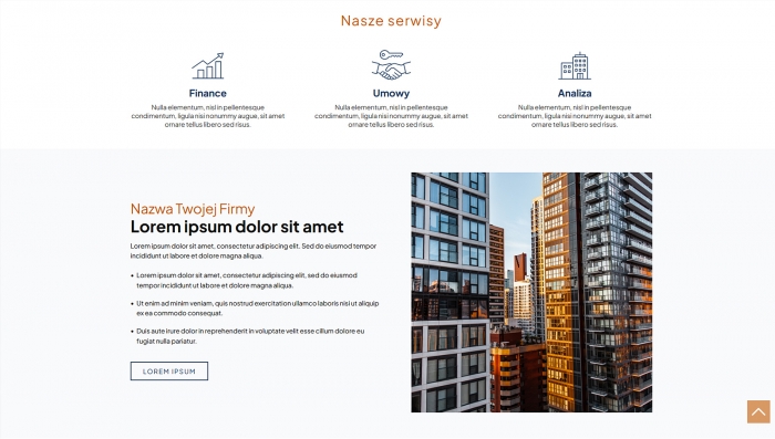 demo stron firmowej