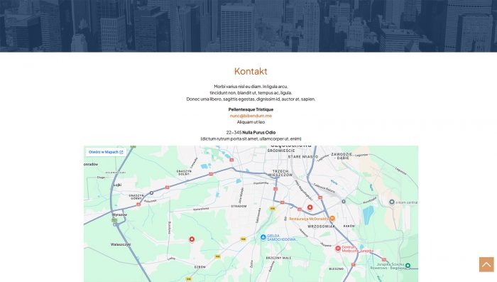 demo stron firmowej