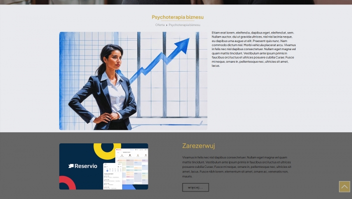 przykład strony dla doradcy biznesowego