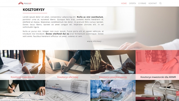 demo strony dla agencji