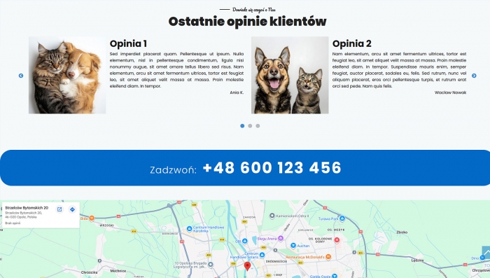 demo strony dla weterynarza
