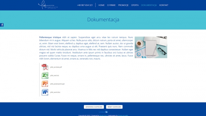 gotowe strony dla biur - przykłady projektów