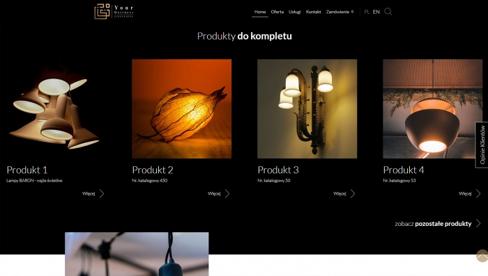 gotowe strony z katalogiem producenta - przykład strony web