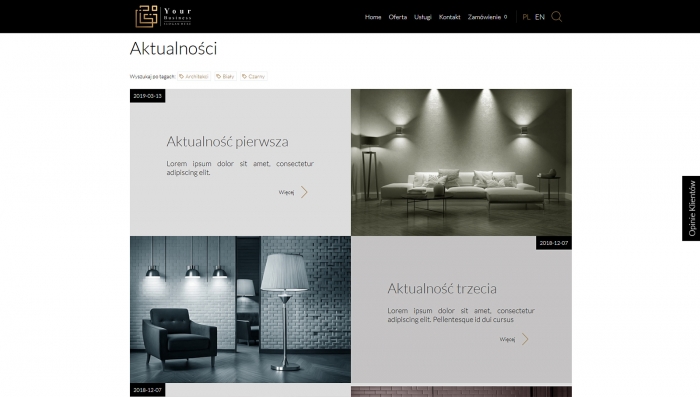 gotowe strony z katalogiem producenta - przykład strony web