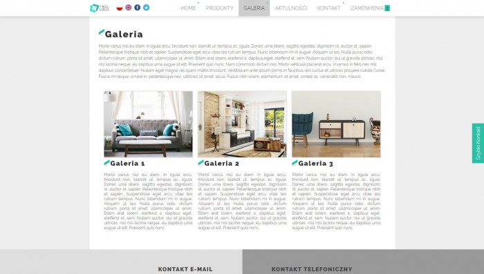 przykładowa strona z możliwością dowolnej publikacji efektownych galerii zdjęć