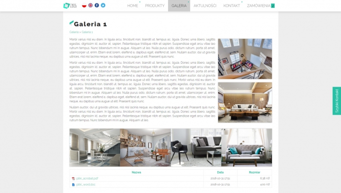 przykładowa strona z prezentacją fotografii, w wybranej galerii plików